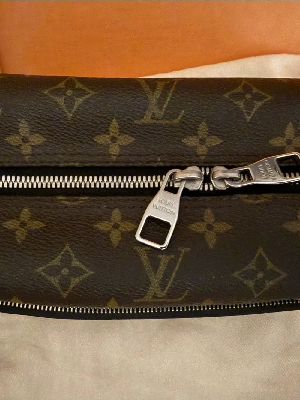 Louis Vuitton authentic louis